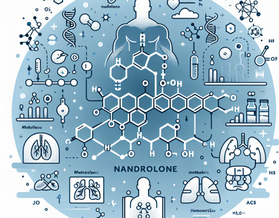 La Nandrolone et son effet sur l'homéostasie métabolique