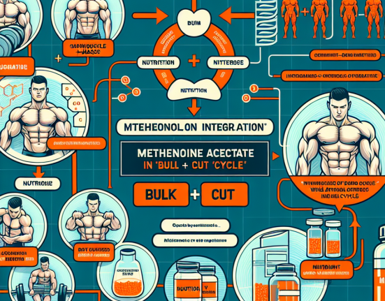 Intégration de l'acétate de méthénolone dans les cycles « volume + sèche »